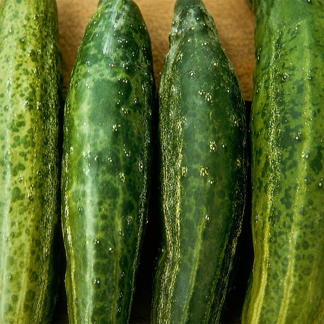 Cucumber Mosaic Virus