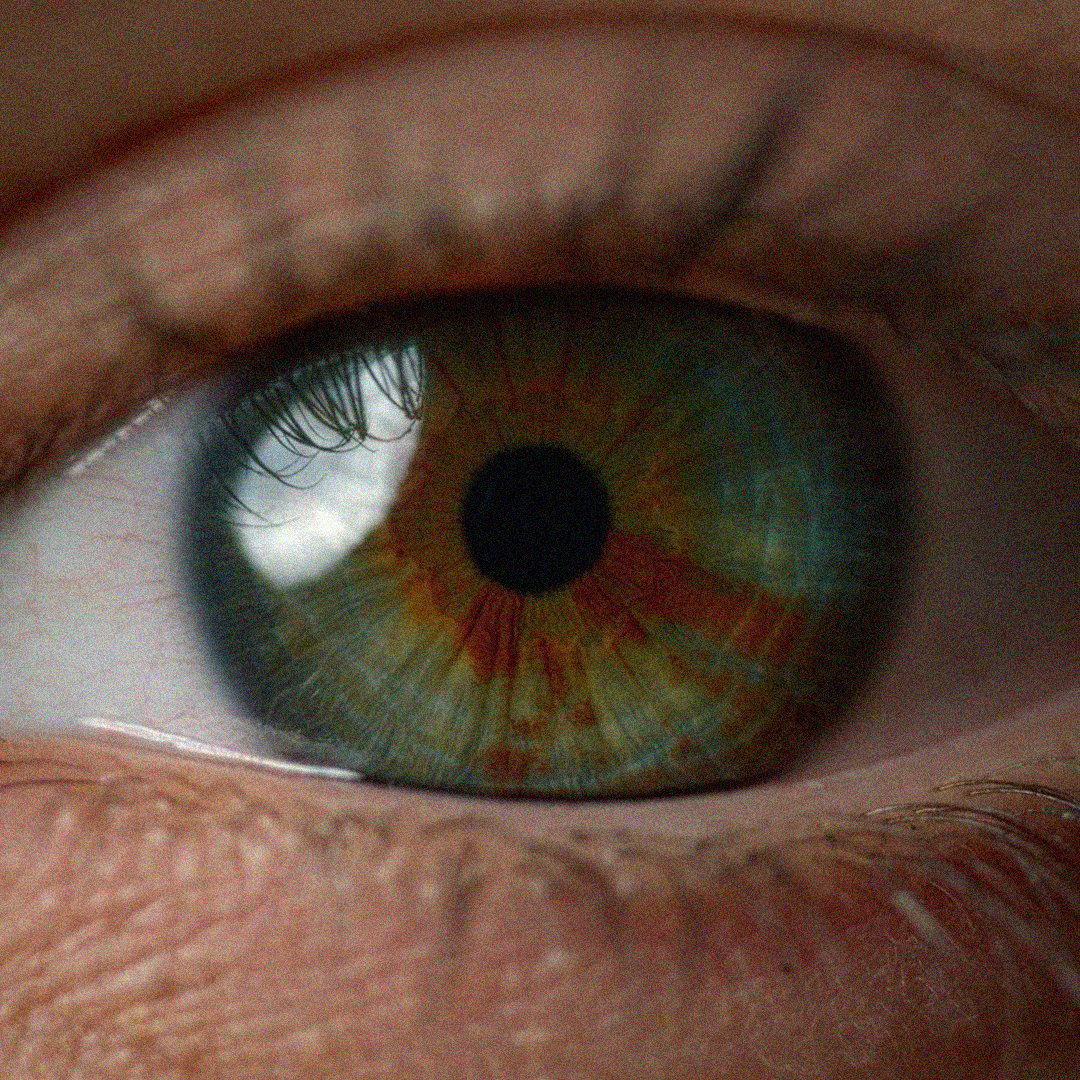 Contact visual
