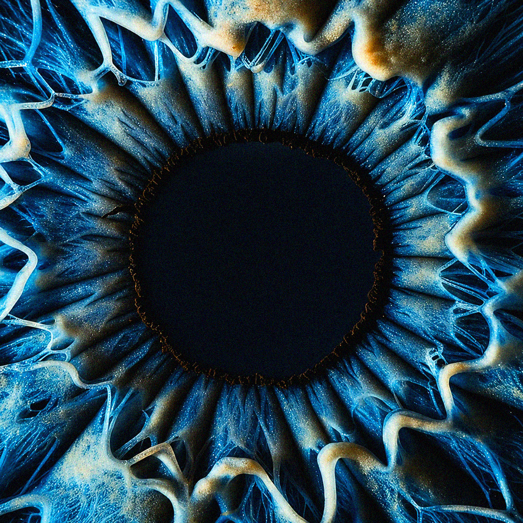 The Ecosystem Digital visual