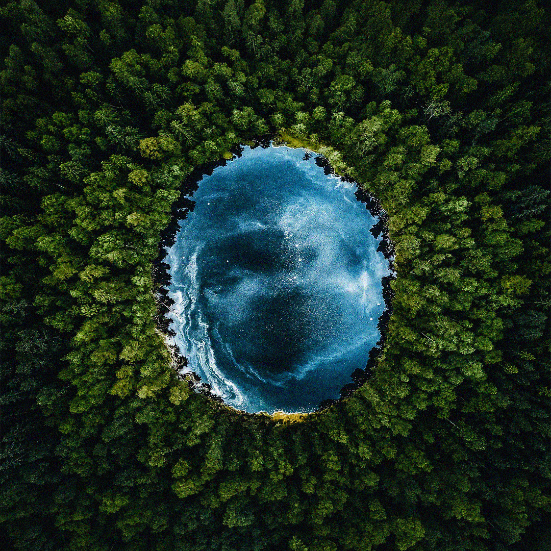 The Ecosystem philosophy visual