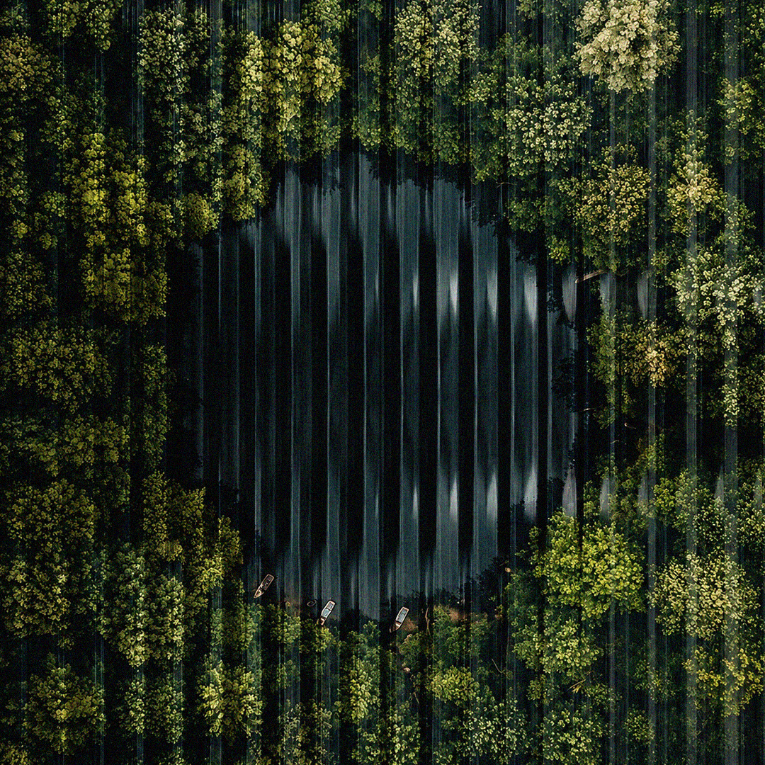 The Ecosystem Media visual