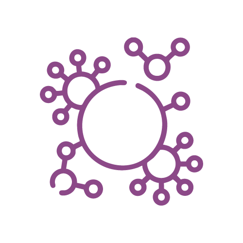 Postbiyotik oluşumu