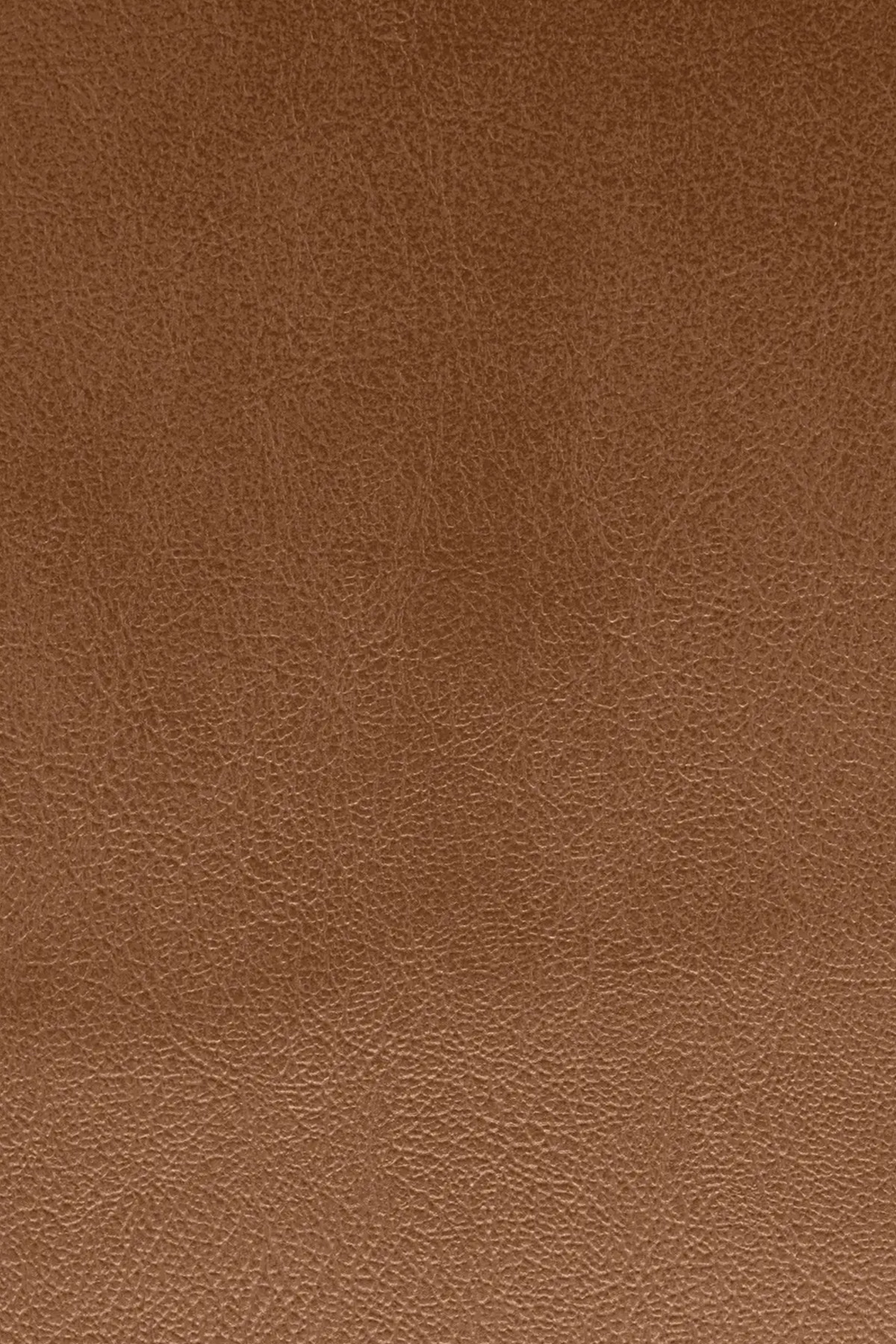 Penche Belmont FR